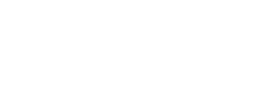 bruce_logo_small